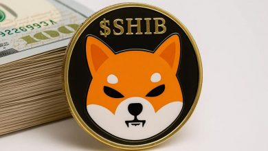 پیش‌بینی مسیر قیمت شیبا اینو و رشد ۲ هزار درصدی!