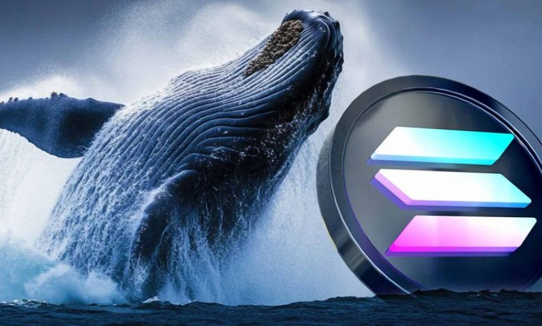 چراغ قرمز SEC به نهنگ سولانا؛ پیشنهاد خرید ۱ میلیارد دلار SOL رد شد!