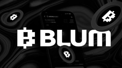 کاربران بلوم فقط تا ۷ ژوئن فرصت دارید! همه چیز درباره دریافت ایردراپ BLUM