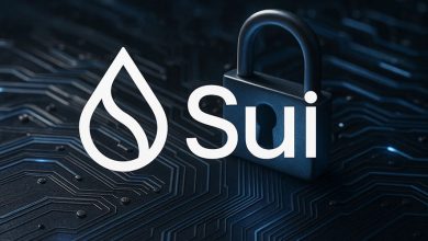 ۴۴ میلیون SUI جدید و هدف ۴ دلاری!