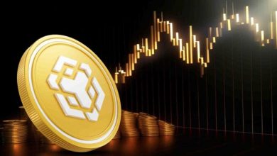 آرامش پیش از طوفان در بازار BNB؛ نشانهها از صعود به بالای ۷۰۰ دلار میگویند!