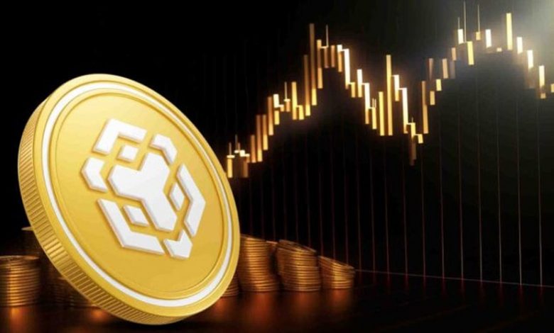 آرامش پیش از طوفان در بازار BNB؛ نشانهها از صعود به بالای ۷۰۰ دلار میگویند!