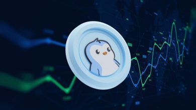 ادامه روند صعودی و سود ۲ میلیون دلاری از PENGU!