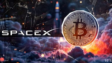اسپیسایکس ۱۳۰۸ بیتکوین را جابهجا کرد! سیگنال جدید ایلان ماسک برای بازار؟