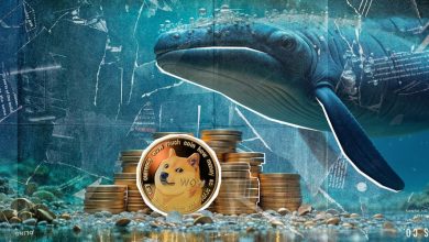 انباشت ۳۱۰ میلیون دوجکوین در کف قیمت! سیگنال نهنگها برای بازگشت صعودی قیمت؟