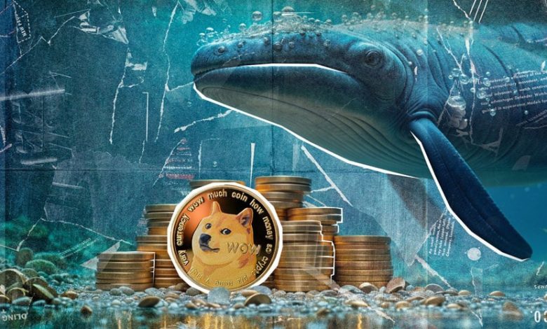 انباشت ۳۱۰ میلیون دوجکوین در کف قیمت! سیگنال نهنگها برای بازگشت صعودی قیمت؟