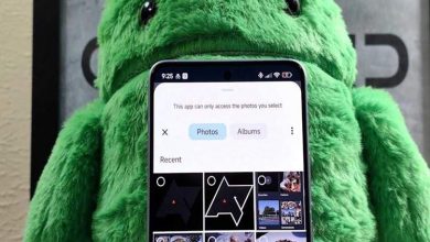 اندروید بالاخره نوار جستجو را به Photo Picker اضافه کرد تا پیدا کردن تصاویر آسانتر شود!