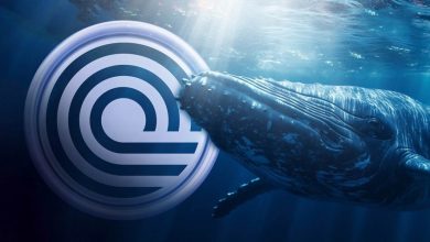 اوندو از الگوی مثلث نزولی خارج شد! نهنگها قیمت را تا کجا بالا میبرند؟