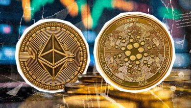 بازگشت آرام کاردانو؛ آیا زمان چرخش سرمایه از اتریوم فرا رسیده؟