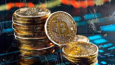 تحلیل احساسات بازار؛ آیا بیتکوین از رکود تابستانی جان سالم به در میبرد؟