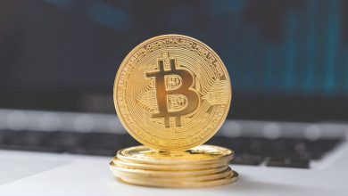 تکرار الگوی ۲۰۲۰ و اوج‌گیری بیت کوین!