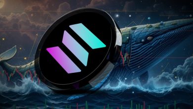 جابهجایی ۱ میلیون سولانا در یک تراکنش! نهنگ بزرگ چه نقشهای در سر دارد؟