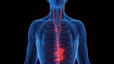 حس جدیدی که ارتباط میکروب‌های روده با مغز را ممکن می‌سازد