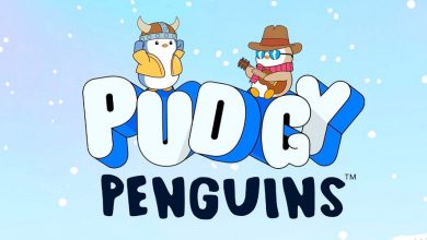 خرید بازار بزرگ اوپنسی توسط پاجی پنگوئنز؛ شایعه یا واقعیت؟