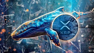 خرید ۱۳۰ میلیون XRP توسط نهنگها؛ موج سوم صعودی در راه است؟