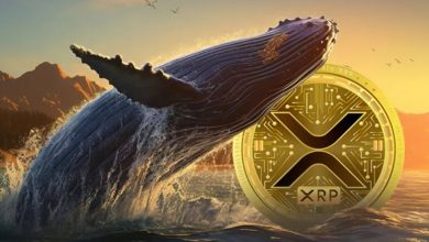 خیز سنگین نهنگ‌های ریپل همزمان با رالی ۲۶ درصدی؛ منتظر رکوردشکنی XRP باشیم؟
