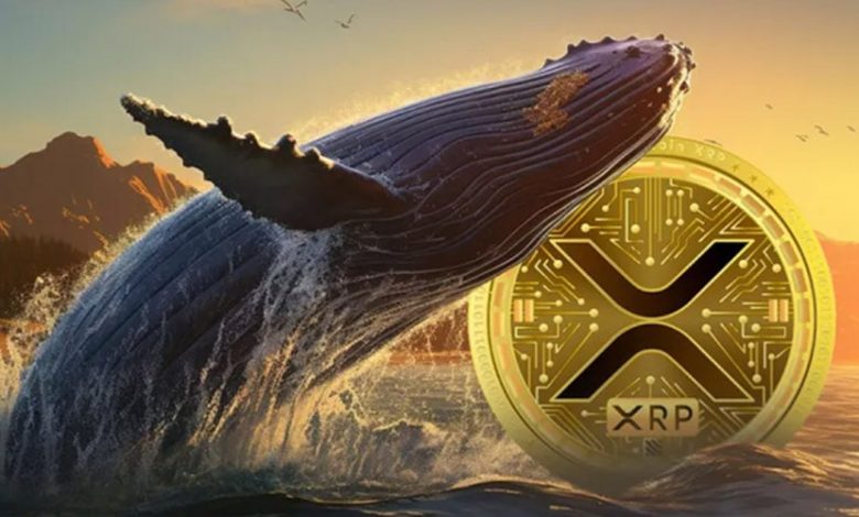 خیز سنگین نهنگهای ریپل همزمان با رالی ۲۶ درصدی؛ منتظر رکوردشکنی XRP باشیم؟