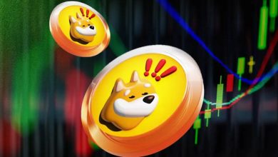 رالی بونک پرقدرت ادامه دارد؛ میم‌کوین محبوب در یک قدمی رکوردشکنی تاریخی!