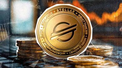 رشد استلار با حمایت بازار و احتمال همکاری با پیپال!