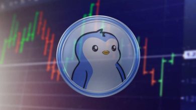 رشد ۱۰ درصدی PENGU در بازار کمنوسان؛ آیا اصلاح در راه است؟