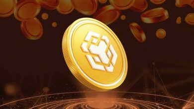 رکوردشکنی جدید بایننس کوین؛ قیمت BNB از مرز ۸۰۰ دلار گذشت!