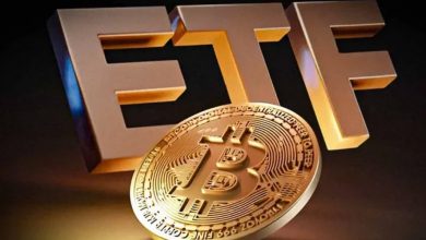 رکوردشکنی جدید ETFهای بیت‌کوین؛ جذب ۵۰ میلیارد دلار سرمایه در کمتر از ۲ سال!