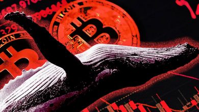 ریزش رمزارزها با وجود خریدهای میلیاردی؛ نهنگها چه سیگنالی به بازار میدهند؟