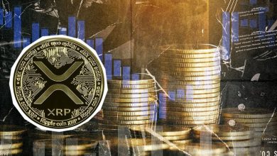 ریپل در مسیر بازگشت به قله‌ تاریخی؟ ۵۲۰ میلیون دلار XRP انباشت شد!