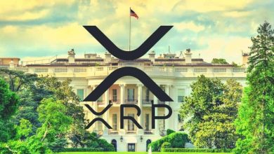 ریپل، بزرگ‌ترین غایب گزارش کریپتویی کاخ سفید! چرا خبری از XRP نیست؟