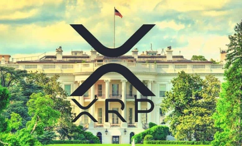 ریپل، بزرگترین غایب گزارش کریپتویی کاخ سفید! چرا خبری از XRP نیست؟
