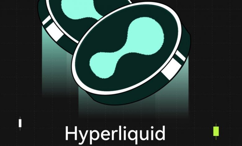 سرمایهگذاری میلیونی در هایپرلیکویید در زمان افت قیمت؛ HYPE آماده بازگشت؟