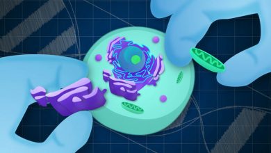 سلول مصنوعی خودحرکت‌کننده: دستاوردی انقلابی در زیست‌شناسی سنتزی