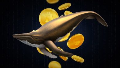 سیگنال زودهنگام از نهنگ‌ها؛ انباشت سنگین ۴ آلت‌کوین در آستانه تغییرات نرخ بهره!