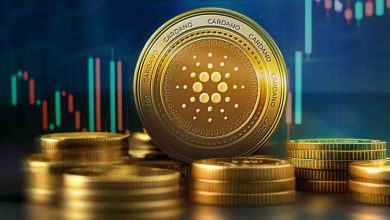 شباهت به الگوهای گذشته و فعال شدن حمایت ۵۰ ماهه کاردانو!