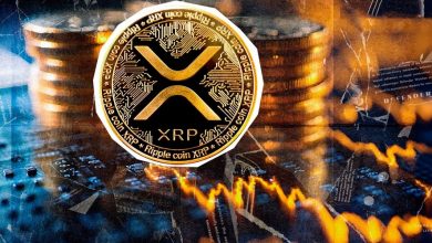 عقب‌نشینی سرمایه‌گذاران تازه‌وارد از بازار ریپل؛ قیمت XRP در خطر ریزش؟