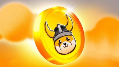 فلوکی رکورد ۶ ماهه را شکست! صعود ادامه دارد یا وقت فروش است؟