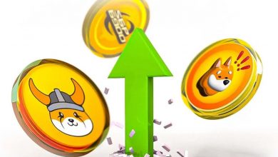 فلوکی و بونک در خط مقدم رشد! چرا بازار میمکوینها دوباره داغ شده؟