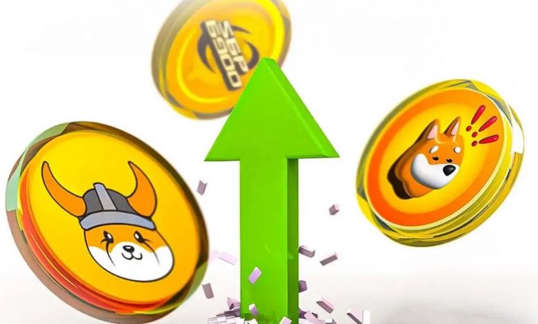 فلوکی و بونک در خط مقدم رشد! چرا بازار میمکوینها دوباره داغ شده؟