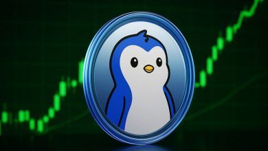 قیمت پاجیپنگوئنز با خبر ETF اوج گرفت؛ رالی ۳۰ درصدی تنها شروع کار است!