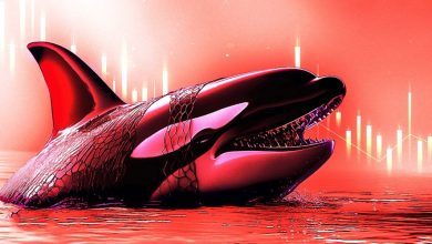 نهنگ بزرگ هایپرلیکویید قربانی صعود بازار؛ ۱۵ میلیون دلار به باد رفت!