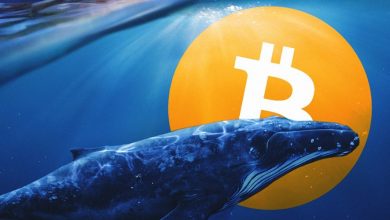 نهنگ عصر ساتوشی ۲۰ هزار بیتکوین دیگر را جابهجا کرد! چه اتفاقی دارد میافتد؟