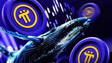 نهنگ مرموز ۳۳۱ میلیون توکن پای را بلعید! اتفاقی بزرگ در راه است؟