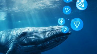 هجوم نهنگها به بازار کریپتو در هفته دوم جولای؛ کدام آلتکوینها بلعیده شدند؟