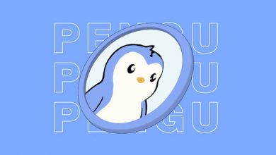 پاجی پنگوئنز در صدر ترندهای بازار؛ آیا PENGU رالی تاریخی پپه را تکرار میکند؟