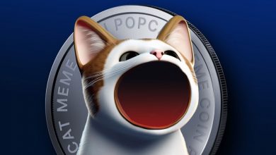 پاپ‌کت سقف ۳ هفته‌ای را شکست! شروع موج صعودی جدید POPCAT با حمایت نهنگ‌ها؟