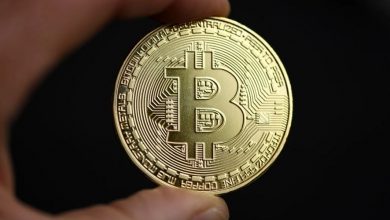 پایان عصر نهنگ‌های قدیمی و آغاز سلطه غول‌های مالی؛ بیت‌کوین وارد فصل جدیدی می‌شود!