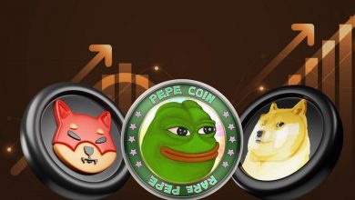 پیشتازی بیرقیب دوجکوین در بازار میمکوینها! قیمت DOGE آماده صعودی تاریخی؟