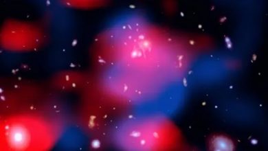 کشف دورترین «مینی هاله» کیهانی؛ پنجرهای جدید به اسرار جهان اولیه