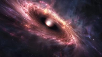 کشف کهکشان عجیب «بینهایت» با سیاهچالهای تازه متولد شده