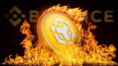 ۱ میلیارد دلار بایننس‌ کوین سوزانده شد! زمان رکوردشکنی BNB فرا رسیده؟